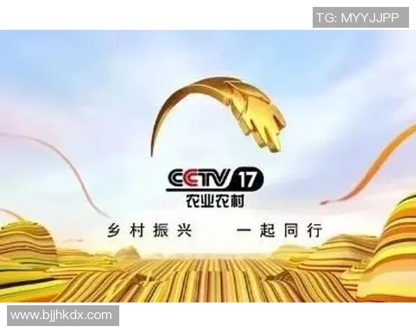 探索河南新农村频道的魅力与发展助力乡村振兴新篇章